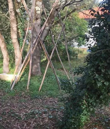 Ma Cabane Sous Les Arbres Soulac-sur-Mer Exterior foto