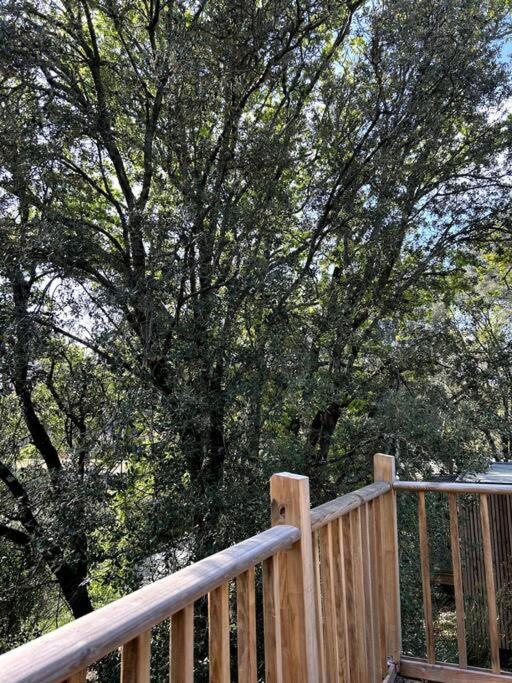 Ma Sous Les Arbres *