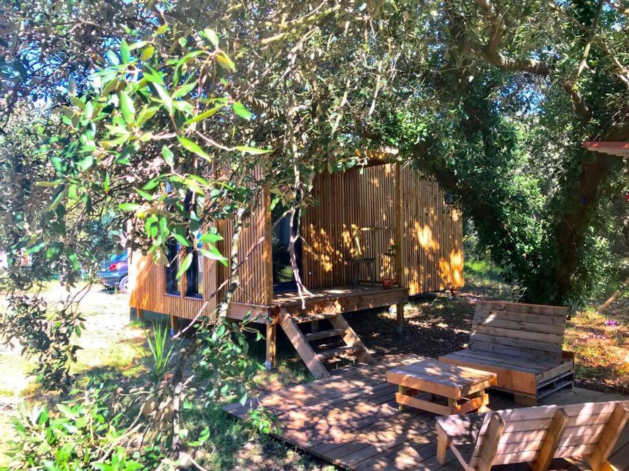 Appartement Ma Sous Les Arbres *